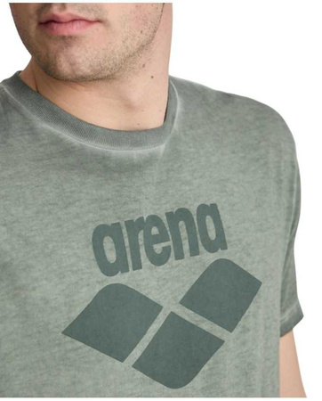 Koszulka Unisex Arena T-shirt Icons Sage Delave
