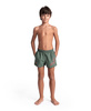 Szorty kąpielówki chłopięce Arena Boy's Beach Short Logo Sage Fluo Red