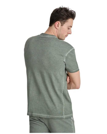 Koszulka Unisex Arena T-shirt Icons Sage Delave