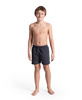 Szorty kąpielówki chłopięce Arena Junior Boy's Fundamentals Logo Boxer Asphalt Water