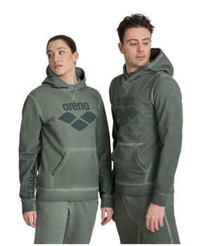 Bluza sportowa z kapturem Unisex Arena Icons Hoodie Sweat Sage Delave