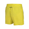Spodenki szorty męskie Arena Men Evo Beach Solid Soft Green