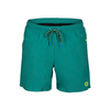 Spodenki szorty męskie Arena Men's Pro File Beach Boxer Green Lake Soft Green