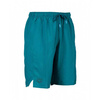 Szorty Arena Team Line Bermuda Panel Unisex
