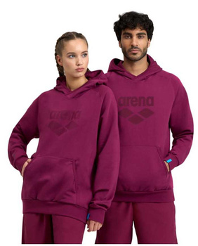 Bluza sportowa z kapturem Unisex Arena Hooded Sweat Logo Red Fandango
