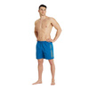 Spodenki szorty męskie Arena Men Berryn