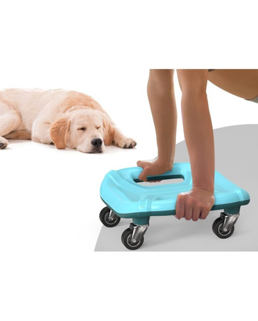 ROLLER Proiron ABDOMINAL DO ĆWICZEŃ MIĘŚNI BRZUCHA