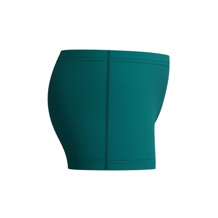 Kąpielówki chłopięce spodenki kąpielowe Speedo Medley Logo Green