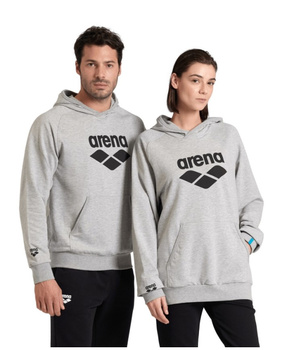 Bluza sportowa Unisex Arena Hooded Sweat Graphic Medium Grey Heather