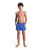 Szorty kąpielówki chłopięce Arena Boy's Profile Beach Short Junior Royal Purple Blue