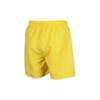 Spodenki kąpielowe męskie Arena Watershorts Fundamentals Logo Boxer