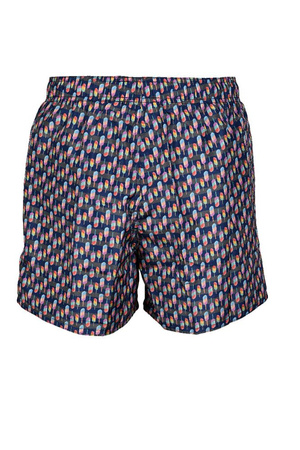 Spodenki męskie szorty Arena Men's Watershort Printed Beach Short Ice Screams
