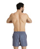 Spodenki męskie szorty Arena Men's Watershort Printed Beach Short Ice Screams