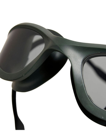 Okulary pływackie na basen Arena 365 Goggles Smoke Deep Green Black
