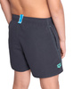 Szorty kąpielówki chłopięce Arena Junior Boy's Fundamentals Logo Boxer Asphalt Water