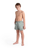 Szorty kąpielówki chłopięce Arena Boy's Beach Boxer Jade Black