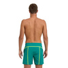 Spodenki szorty męskie Arena Men's Pro File Beach Boxer Green Lake Soft Green