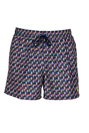 Spodenki męskie szorty Arena Men's Watershort Printed Beach Short Ice Screams