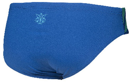 Kąpielówki slipy męskie Arena Men's Og Brief Italy