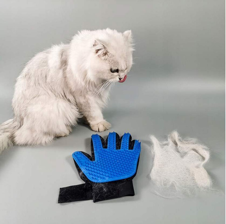 Rękawica szczotka do czesania sierści psa kota