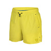 Spodenki szorty męskie Arena Men Evo Beach Solid Soft Green