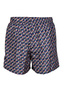 Spodenki męskie szorty Arena Men's Watershort Printed Beach Short Ice Screams