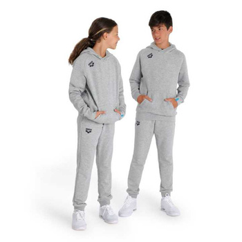 Bluza sportowa z kapturem Junior Arena Team Hooded Sweat Panel Medium Grey Heather
