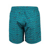 Spodenki szorty męskie Arena Men's Beach Boxer Allover Green Lake Logo