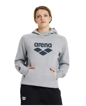 Bluza sportowa z kapturem Arena Hooded Sweat Logo Medium Grey Heather