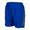 Spodenki szorty chłopięce Arena Fundamentals Logo Junior Boxer Neon Blue Soft Green