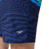 Szorty kąpielowe męskie Arena Men's Stripe Flex Board Short Navy 