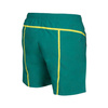 Spodenki szorty męskie Arena Men's Pro File Beach Boxer Green Lake Soft Green