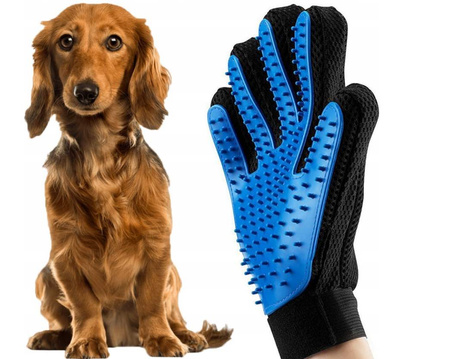 Rękawica szczotka do czesania sierści psa kota
