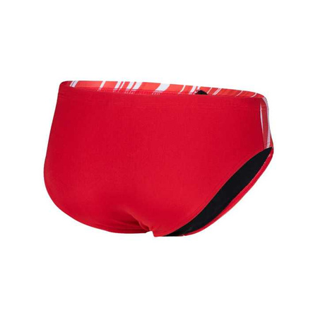 Slipy kąpielówki męskie Arena Briefs