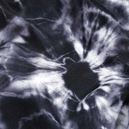 Spodenki szorty męskie Speedo Digital Print