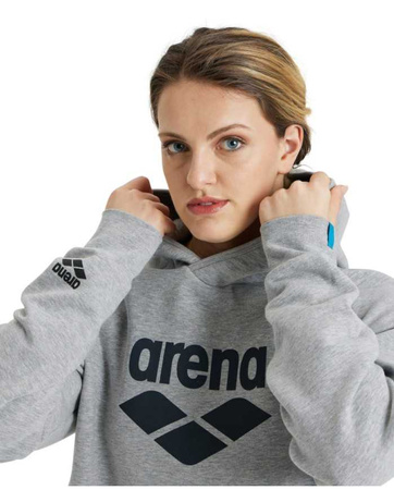 Bluza sportowa z kapturem Arena Hooded Sweat Logo Medium Grey Heather