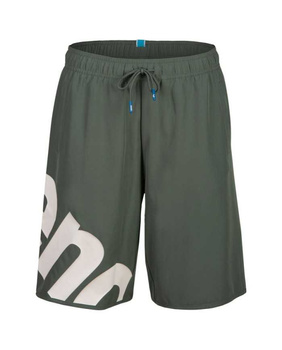 Spodenki szorty damskie Arena Logo Bermuda Sage White