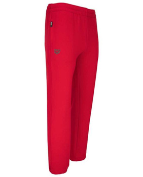 Spodnie treningowe męskie Arena Men's Filler Pant Red