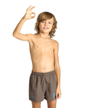 Spodenki szorty chłopięce Arena Boy's Junior Beach Short Logo Dark Olive